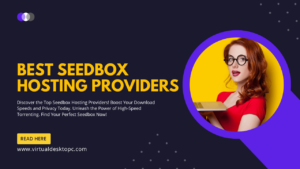 Best Seedbox Hosting Providers